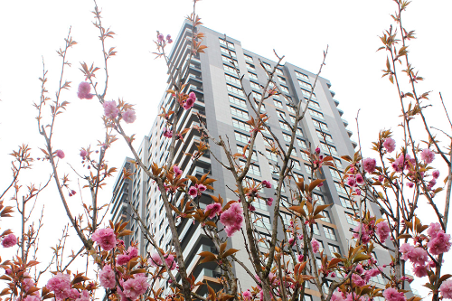 Abalpha brokerage